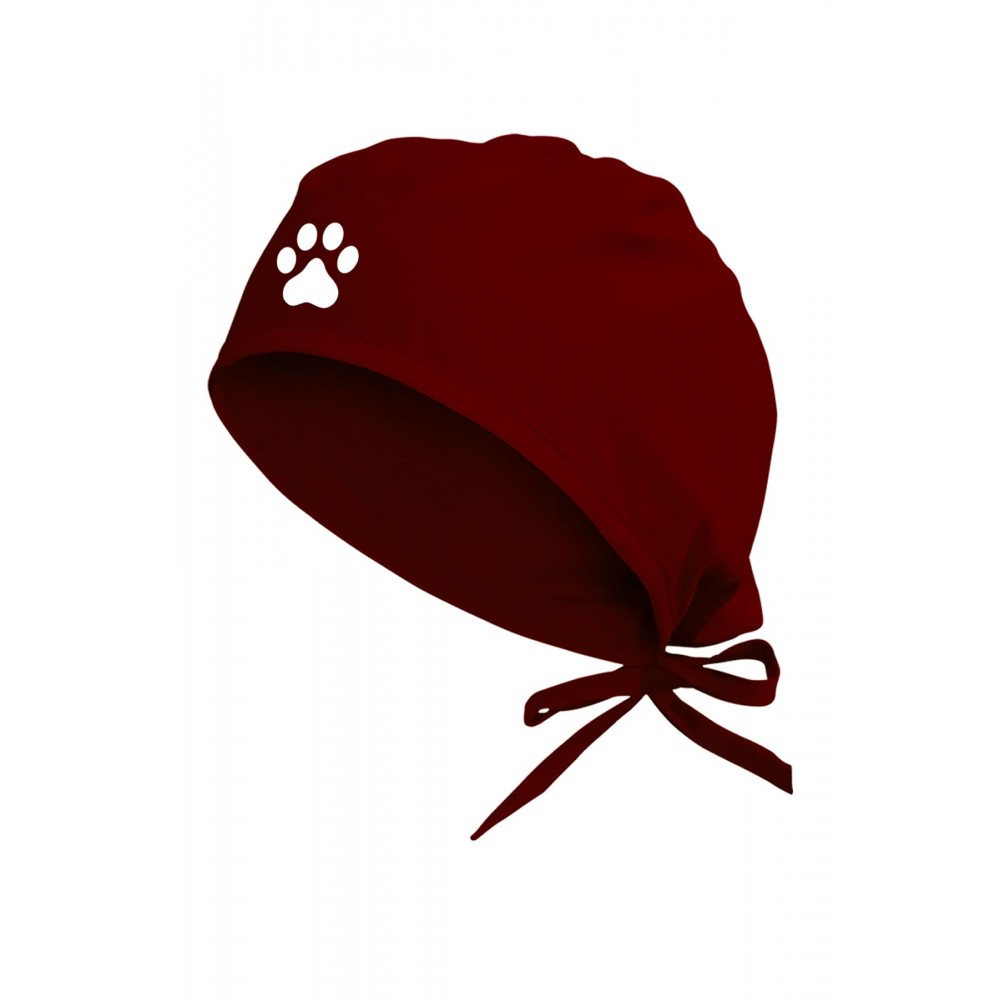 Kedi Patisi Veteriner Bonesi